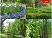 Przewodnik po Łazienkach Królewskich [Ogród Modernistyczny]