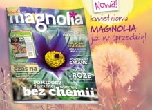 Magazyn magnolia