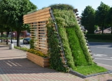 Żyjące przystanki w Siemiatyczach. Zielone przystanki stanęły tu już w 2017 roku.