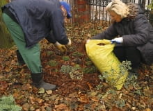 12.11.03 ZALESINEK OGROD JESIEN OGRODOWE PRACE JESIENNE ZABEZPIECZENIE ROSLIN OKRYWANIE PRZED ZIMA OBSYPYWANIE KORA DO PISMA KWIETNIK ARANZACJA PANI DANUTA MLOZNIAK FOT. PAWEL SLOMCZYNSKI / AGENCJA GAZETA PUBLIKACJA KWIETNIK NR 12 (120) - 12.2004 SLOWA KLUCZOWE: OGRODNICTWO KOBIETY ZDJĘCIE DO WKŁADKI: PUBLIKACJA KWIETNIK NR 12 (120) - CZASOPISMA