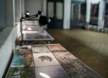 Wystawa „Zdjęcia Architektów" w Przystanku Architektura Wystawa „Zdjęcia Architektów" w Przystanku Architektura