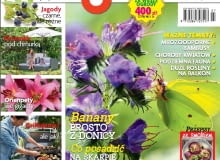 Magazyn Magnolia Magazyn Magnolia