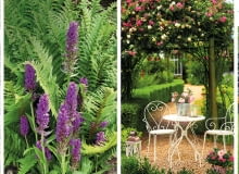 Idealne rośliny do ogrodu Idealne rośliny do ogrodu