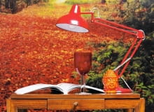 28.07.2011 , WNETRZA , KOLOR I WZOR , TEMAT JESIEN - CZERWIEN , SESJA DLA : CZTERY KATY , STYLIZACJA JOANNA PLACHECKA . FOT. MICHAL MUTOR / AGENCJA GAZETA SLOWA KLUCZOWE: WNETRZA DEKORACJE