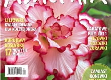 Okładka miesięcznika Kwietnik 07/2011