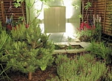 Projekty ogrodów. Mały ogród jak nastrojowy obraz. Maleńki ogródek trzeba starannie zakomponować. Każdy detal widać tu jak na dłoni