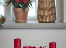 Aranżacja adwentowa z poinsecją w blasze do pieczenia Aranżacja adwentowa z poinsecją w blasze do pieczenia