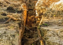 Kopanie rowu w pobliżu korzeni jest możliwe, gdy nie ma mrozu.