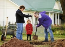 Drzewka owocowe sadzimy na takiej samej głębokości, na jakiej rosły w szkółce lub pojemniku, w którym zostały zakupione. Drzewka owocowe sadzimy na takiej samej głębokości, na jakiej rosły w szkółce lub pojemniku, w którym zostały zakupione.