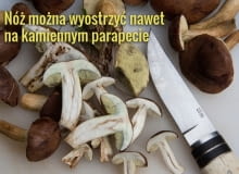 Ostry nóż to gwarancja sprawnej i szybkiej pracy w kuchni