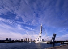 Most Erazma w Rotterdamie, projekt: UNStudio Most Erazma w Rotterdamie, projekt: UNStudio