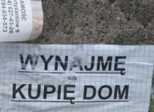 najem okazjonalny dom, wynajem
