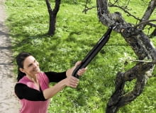 Enemmän ulottuvuutta ja voimaa kuin oksasaksilla, näppärämmin ja tarkemmin kuin raivaussaksilla. Monitoimioksaleikkureilla leikkaat sieltä, minne et tavallisilla oksasaksilla yletä, ja paikoista, joissa raivaussakset vievät liikaa tilaa. Ulottuvuus pidemmälle pensaiden sisään kurottelematta ja naarmuttamatta käsiä. Leikkaamalla kahdella kädellä kevennät työtä huomattavasti. Leikkuuteho 20 . Mitat: pituus 630 mm, paino 480 g. Myyntierä 4. Ean: 6411501966209