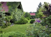 PNĄCZA NA DOMU I OGRODZENIU oraz liczne krzewy zacierają granice ogrodu, tworząc zieloną enklawę SLOWA KLUCZOWE: beata tokarz