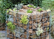 Gabione bef´llen und bepflanzen SLOWA KLUCZOWE: Bepflanzung Beratung Farbe Flechtkorb Fotografie Gabione Korb Pflanze Portrait anpflanzen auff´llen bepflanzen einpflanzen vertikal auff´llen Hochformat