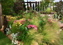 Ta prosta rabata z trawy ostnicy i krwawników nie wymaga uciążliwej opieki, a dynamizuje kompozycję ogródka. Ta prosta rabata z trawy ostnicy i krwawników nie wymaga uciążliwej opieki, a dynamizuje kompozycję ogródka.