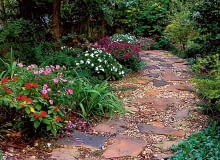 Kamienne płyty Kamienne płyty