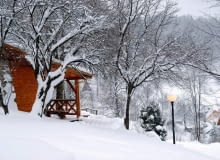 OGRÓD JADWIGI I TADEUSZA KUTÓW to ogród o charakterze naturalistycznym, harmonijne "połączenie natury i kultury" - nie ma tu ogrodzenia, a rośliny idealnie wpisują się w krajobraz.