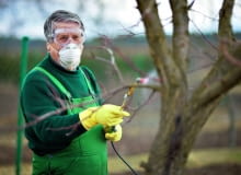 Osoba opryskująca rośliny powinna się ubrać w strój roboczy, włożyć maskę, okulary ochronne i rękawice. 2Y~aN{z-UDAj}Hw)e6