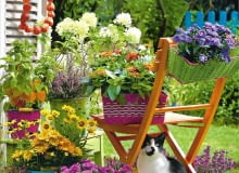 KWIATY. Piękne kolory marcinków,&#8200;miechunki, chryzantem, nachyłków i wrzosów są dodatkowo podkreślone wesołymi odcieniami doniczek i osłonek.