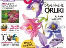 Miesięcznik Magnolia nr 06/2013