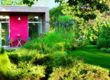 Nawozy nasiona, trawa, ogrody, rośliny, nawozy