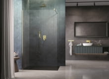 Radaway Nes Brushed Gold Walk-in II