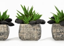 Surowa prostota. Surowa prostota.