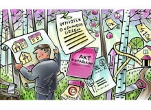 Wycinka drzew na działce zgodnie z prawem wycinka drzew na działce