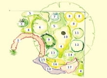 1. bukszpan wiecznie zielony, 2. żurawka drobna 'Palace Purple,' 3. cyprysik japoński 'Crippsii', 4. bergenia Schmidta, 5. konwalia majowa, 6. jaśminowiec 'Virginal', 7. cyprysik japoński 'Boulevard', 8. forsycja pośrednia 'Goldzauber', 9. mikrobiota syberyjska, 10. czereśnia, 11. pigwowiec pośredni 'Crimson and Gold,' 12. suchodrzew chiński , 13. krzewuszka cudowna, 14. tawuła japońska 'Anthony Waterer', 15. świerk pospolity 'Nidiformis' , 16. jałowiec pośredni 'Gold Star,' 17. bodziszek czerwony , 18. dzwonek Poszarskiego. 1. bukszpan wiecznie zielony, 2. żurawka drobna 'Palace Purple,' 3. cyprysik japoński 'Crippsii', 4. bergenia Schmidta, 5. konwalia majowa, 6. jaśminowiec 'Virginal', 7. cyprysik japoński 'Boulevard', 8. forsycja pośrednia 'Goldzauber', 9. mikrobiota syberyjska, 10. czereśnia, 11. pigwowiec pośredni 'Crimson and Gold,' 12. suchodrzew chiński , 13. krzewuszka cudowna, 14. tawuła japońska 'Anthony Waterer', 15. świerk pospolity 'Nidiformis' , 16. jałowiec pośredni 'Gold Star,' 17. bodziszek czerwony , 18. dzwonek Poszarskiego.
