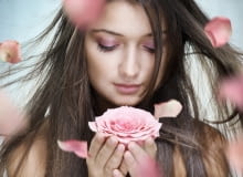 Róża damasceńska Róża damasceńska