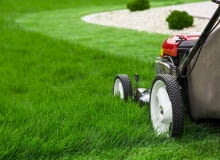 Wertykulacja i aeracja: piękny i zadbany trawnik Wertykulacja i aeracja: piękny i zadbany trawnik