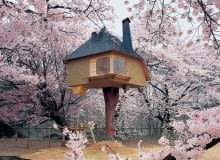 Dom herbaciany autorstwa T. Fujimoriego wzniesiony w wiśniowym sadzie Dom herbaciany autorstwa T. Fujimoriego wzniesiony w wiśniowym sadzie