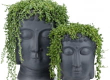 Doniczka twarz, doniczka głowa - oryginalna dekoracja wnętrz Doniczka twarz, doniczka głowa - oryginalna dekoracja wnętrz