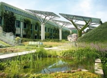 02.07.2009 WARSZAWA POWISLE BUW DACH OGROD