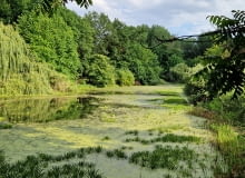 Ogród dendrologiczny w Przelewicach