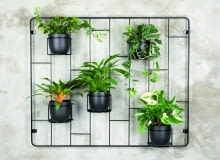 Kwietniki z serii Hedera zaprojektowane przez firmę Domowe Kwietniki Kwietniki z serii Hedera zaprojektowane przez firmę Domowe Kwietniki