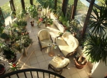 W tej oranżerii rosną gatunki ciepłolubne oraz takie, które zimą lubią chłód. Dlatego utrzymywana jest temperatura 15-18oC, w której wytrzymują wszystkie . ONE TIME USE ONLY DO JEDNOKROTNEJ PUBLIKACJI