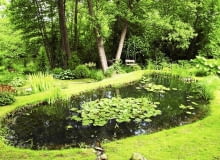 Gospodarze zapragnęli mieć u siebie małe jeziorko, by hodować nenufary i inne rośliny spokojnej wody 21.06.2010 WARSZAWA SESJA OGROD OGROD NAD RZEKA DLA CZASOPISMA OGRODY FOT. ARKADIUSZ SCICHOCKI / AGENCJA GAZETA SLOWA KLUCZOWE: OGROD