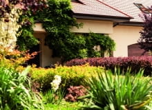 Letni ogród Letni ogród