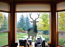 Gotowe folie na okno to nie tylko ciekawa dekoracja. Półprzezroczyste, tak zwane szronione, dodatkowo uchronią nas przed ciekawskimi spojrzeniami z zewnątrz, przepuszczając zarazem światło. <BR />OKNA - OZDOBY. Jeleń, 48 x 116 cm, 89 zł, oklejgo.pl