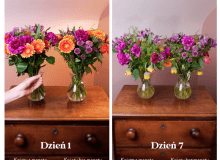 Przedłużanie twałości kwiatów - metoda z wódką