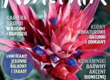 Miesięcznik Kwietnik nr 10/2011