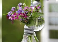 Entkernte Gl´hbirnen als h ngende Blumenvasen mit Wiesenschaumkraut Saxifraga und Vergissmeinnicht - mit Steps SLOWA KLUCZOWE: Gl´hbirne Gl´hbirnen kreativ Kreatividee Idee selber machen DIY Helga Noack Step Steps Stepp Stepps Recycling Glas entkernen aush^hlen Vase Vasen h ngen h ngend Blumen Bl´ten Str u?chen Fr´hling Saxifraga Moosdteinbrech Vergissmeinnicht Wiesenschaumkraut Hochformat