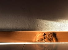 Skuteczny sposób na wilgoć. Czym jest elektroosmoza?