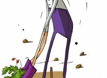 sierpniowe prace w ogrodzie sierpniowe prace w ogrodzie