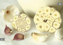 ROSLINY PRZYPRAWY CZOSNEK ALLIUM FOT. JAROSLAW PRZYBYL PUBLIKACJA OGRODY NR 4 (96) - 4 2007 SLOWA KLUCZOWE: ROSLINY KWIATY ZDJ?CIE DO WK?ADKI: PUBLIKACJA OGRODY NR 4 (96) - CZASOPISMA