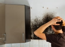 Jak usunąć zawilgocenia i grzyb?