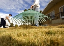 Pielęgnacja trawnika po zimie.