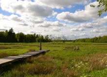 Budowa domu na działce rolnej, czy jest możliwa?